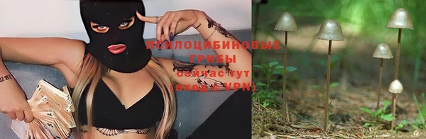 a pvp Зеленокумск