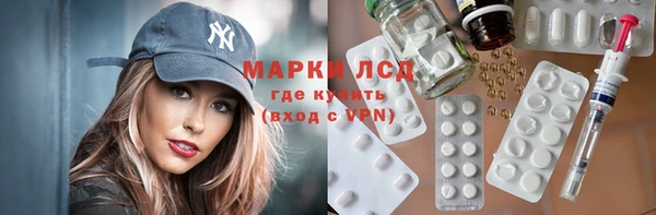 apvp Инта