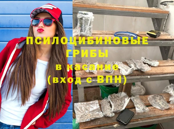 a pvp Зеленокумск