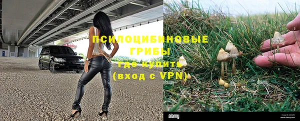 apvp Зеленодольск