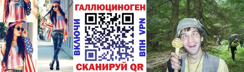 Галлюциногенные грибы Psilocybine cubensis  Купить где  Гудермес 